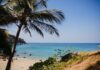 Spokojna tropikalna plaża z palmami i turkusową wodą w Tajlandii