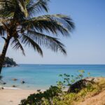 Koh Samui czy Koh Phangan: porównanie wysp, atrakcji i klimatu dla różnych podróżników Spokojna tropikalna plaża z palmami i turkusową wodą w Tajlandii