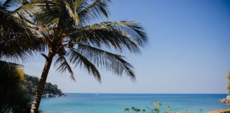 Spokojna tropikalna plaża z palmami i turkusową wodą w Tajlandii