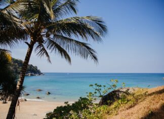Koh Samui czy Koh Phangan: porównanie wysp, atrakcji i klimatu dla różnych podróżników Spokojna tropikalna plaża z palmami i turkusową wodą w Tajlandii