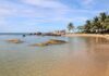 Tropikalna plaża w Wietnamie z palmami, skałami i krystaliczną wodą