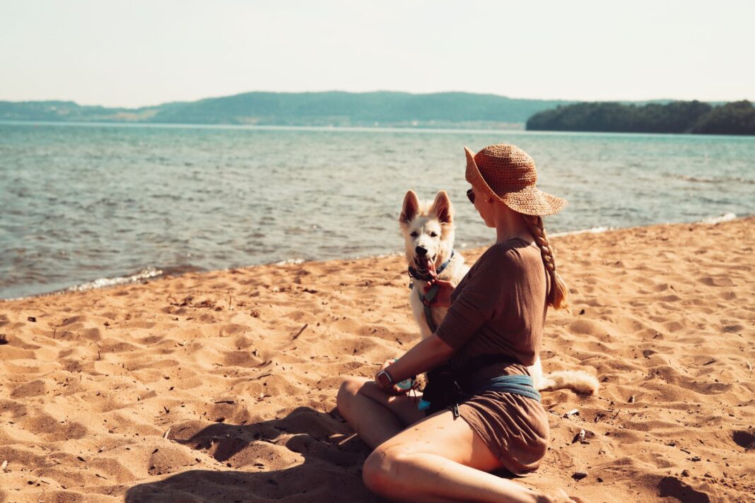 Chorwacja z psem – plaże dla psów, zasady wjazdu, przepisy i przyjazne noclegi