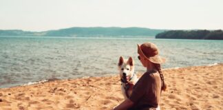 Chorwacja z psem – plaże dla psów, zasady wjazdu, przepisy i przyjazne noclegi