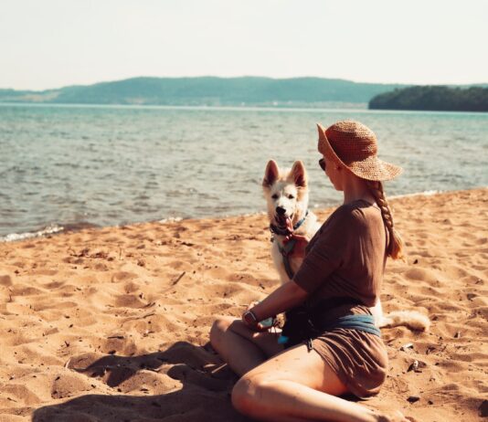 Chorwacja z psem – plaże dla psów, zasady wjazdu, przepisy i przyjazne noclegi Chorwacja z psem – plaże dla psów, zasady wjazdu, przepisy i przyjazne noclegi